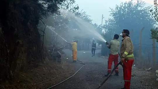 Emet'te Orman Yangını
