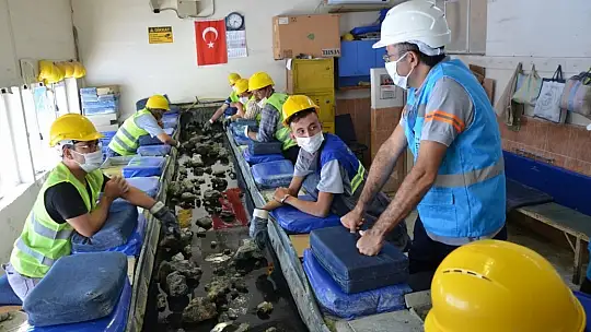 Vali Çelik' Emetbor Bölgemizin Gözbebeğidir'