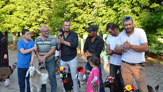 Emet'te oğlaklar podyuma çıktı