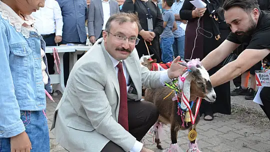 Emet'te oğlaklar podyuma çıktı