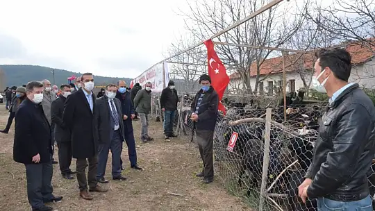 Emet Belediyesi Projesinde 350 Adet Keçi Üreticllere Teslim Edildi