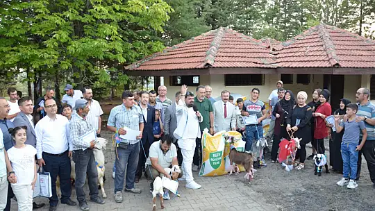 Emet'te oğlaklar podyuma çıktı