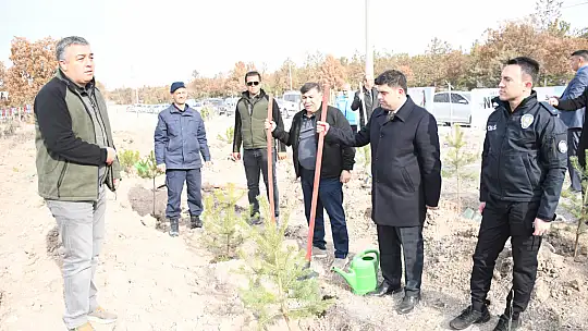Milli Ağaçlandırma Günü'nde Emet'te 300 Fidan Toprakla Buluştu