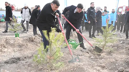 Milli Ağaçlandırma Günü'nde Emet'te 300 Fidan Toprakla Buluştu