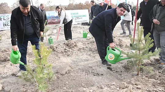 Milli Ağaçlandırma Günü'nde Emet'te 300 Fidan Toprakla Buluştu