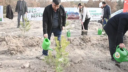 Milli Ağaçlandırma Günü'nde Emet'te 300 Fidan Toprakla Buluştu