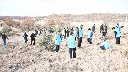 Milli Ağaçlandırma Günü'nde Emet'te 300 Fidan Toprakla Buluştu