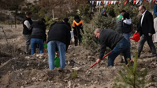 Milli Ağaçlandırma Günü'nde Emet'te 300 Fidan Toprakla Buluştu
