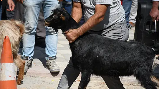 Emet Halkı Birlik ve Beraberlik İçin Buluştu