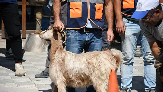 Emet Halkı Birlik ve Beraberlik İçin Buluştu