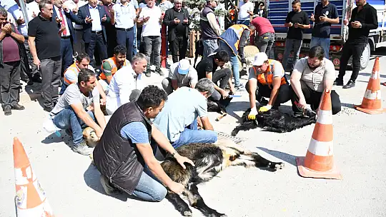 Emet Halkı Birlik ve Beraberlik İçin Buluştu