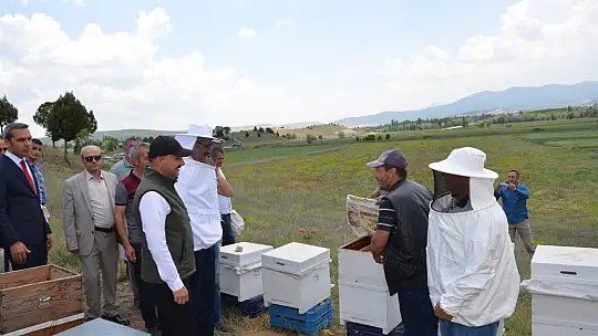 Emet'te Arıcılığı Geliştirme Adına Üreticilere  Arı Dağıtıldı