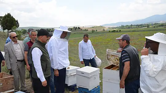 Emet'te Arıcılığı Geliştirme Adına Üreticilere  Arı Dağıtıldı