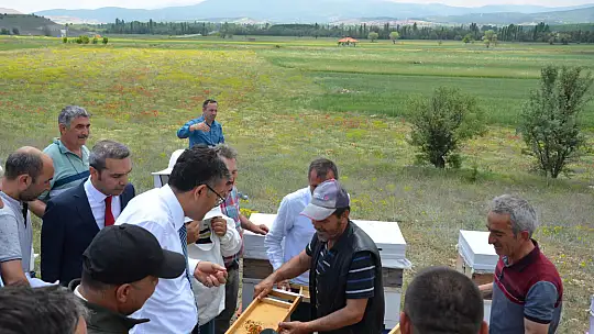Emet'te Arıcılığı Geliştirme Adına Üreticilere  Arı Dağıtıldı