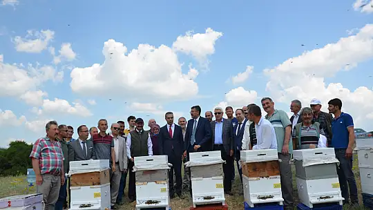 Emet'te Arıcılığı Geliştirme Adına Üreticilere  Arı Dağıtıldı