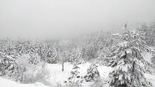 Emet Eğrigöz Dağı'nda kar kalınlığı 25 santimetreyi geçti