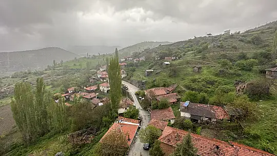Bu Köyden Erdoğan'a Yüzde 99 Destek VİDEOLU