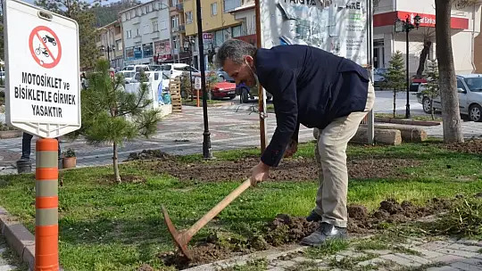 Emet Belediyesince Şehrin Her Tarafı Çiçeklerle Donatılıyor