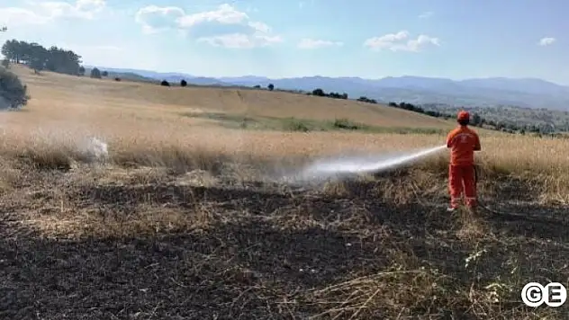 Kopan Yüksekgerilim Hattı Ekili Tarlayı Yaktı