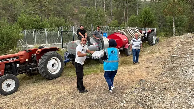 'Yeşili Korumak Vatanı Korumaktır'