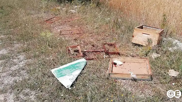 Ayılar Arı Kovanlarını Parçaladı