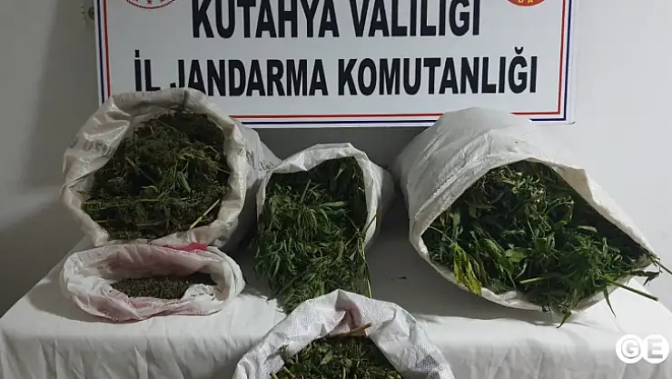 Bağ Evi Değil, Uyuşturucu Bahçesi