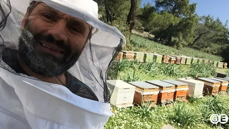 Bu yıl Emet'teki hasat, baldan tatlı oldu