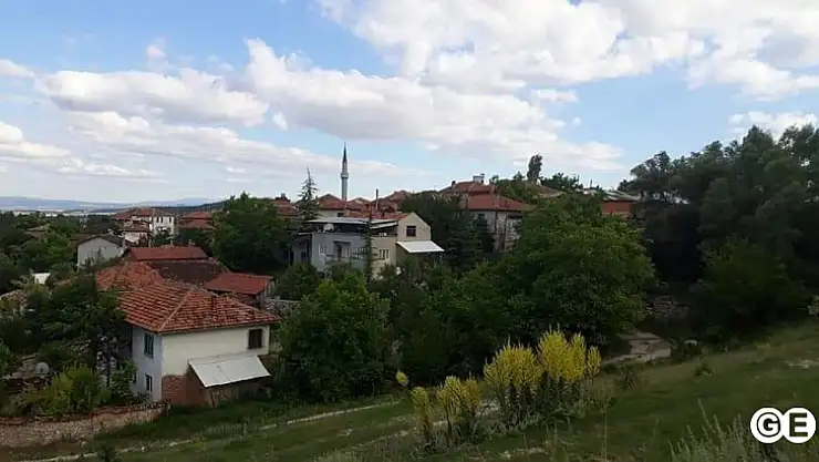 Devrilen Ağacın Altında Kalarak Hayatını Kaybetti