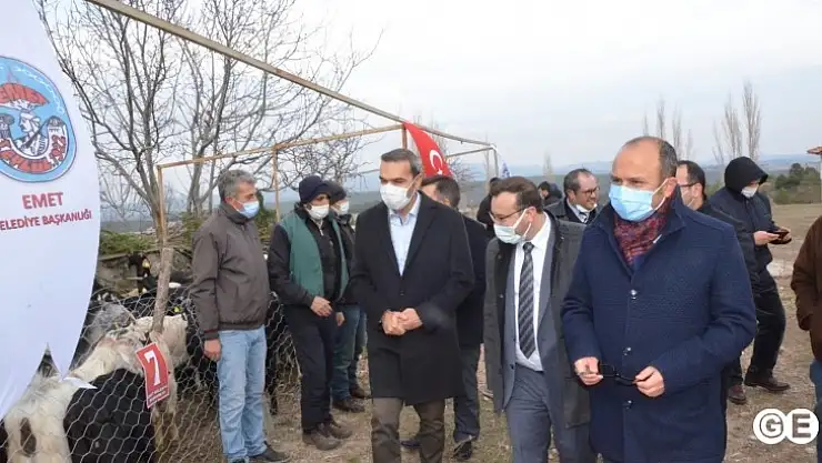 Emet Belediyesi  Projesinde 350 Adet Keçi Üreticllere Teslim Edildi