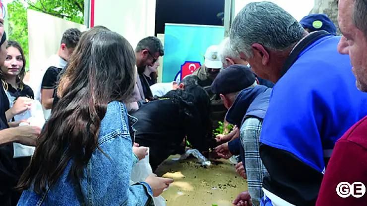 Emet Domatesi Ata Tohumlarından Üretilen  fideler dağıtıldı