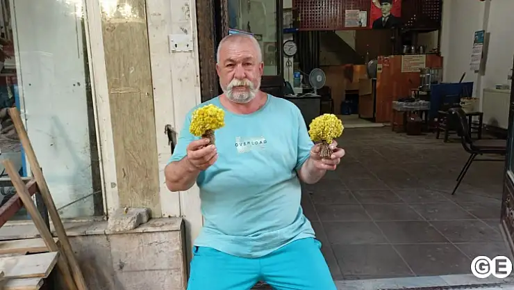 Emet'te Altın değerinde, şifa deposu