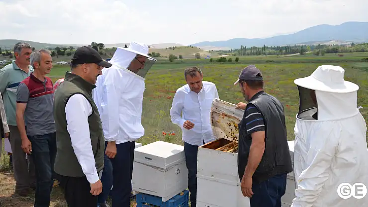 Emet'te Arıcılığı Geliştirme Adına Üreticilere  Arı Dağıtıldı