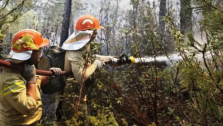 Erken Müdahele Ormanımızı Korudu