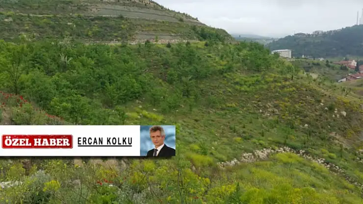 KOCAKIRAN'A YEŞİL ÇOK YAKIŞACAK