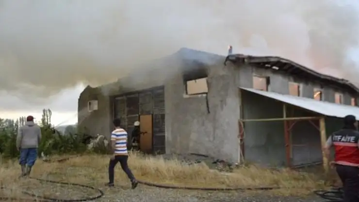 YILDIRIM DÜŞMESİ SONUCU 500 HİNDİ TELEF OLDU