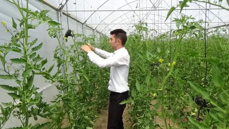 GENÇ ÇİFTÇİ  PROJESİYLE KENDİ İŞİNİ KURDU