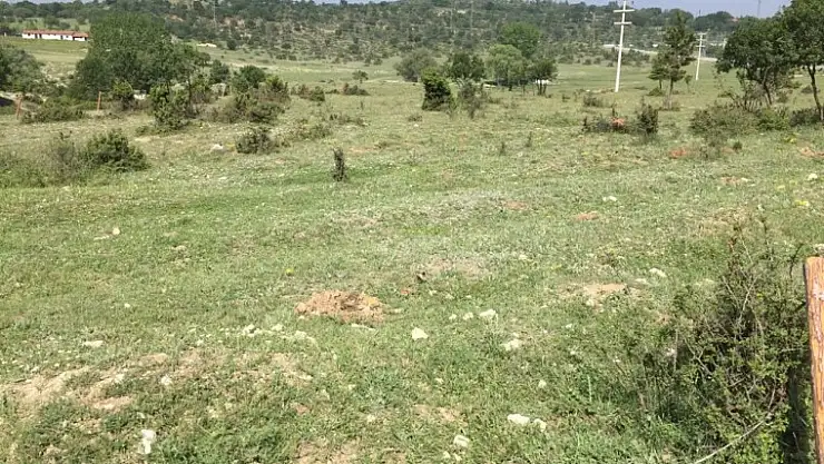 AFRİN ŞEHİTLERİ HATIRA ORMANINA NEDEN ÇİT ÇEVRİLMİYOR?