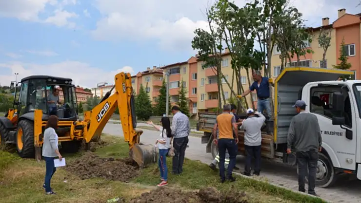 EMET BELEDİYESİNDEN PEYZAJ ÇALIŞMALARI