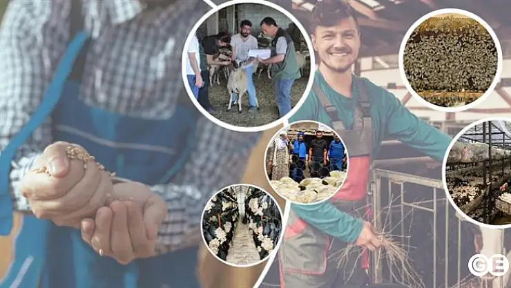 Kırsal Kalkınmada 250 Bin TL'ye Kadar Hibe Desteği