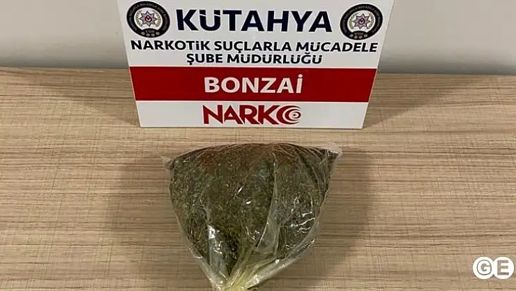 Kütahya'da uyuşturucu operasyonunda 2 şüpheli yakalandı
