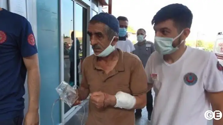Kütahyada 80 Türkiyede 5.825 Acemi Kasap Hastanelik Oldu