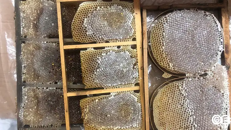 Kütahyalı Bal Üreticileir Verim İçin Ne yapmalı?