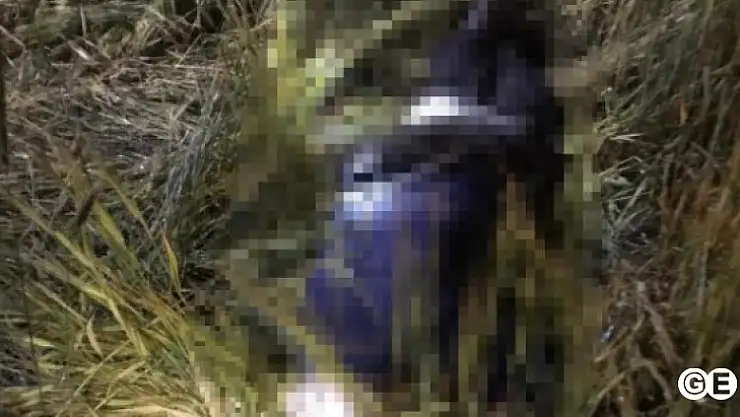 Mantar Toplamay Giden Yaşlı Adam Ölü Bulundu