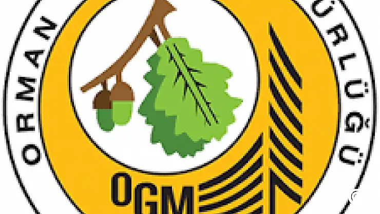 MESAHA HİZMETİ ALINACAKTIR ORMAN İŞLETME MÜDÜRLÜĞÜ-EMET DİĞER ÖZEL BÜTÇELİ KURULUŞLAR ORMAN GENEL MÜDÜRLÜĞÜ