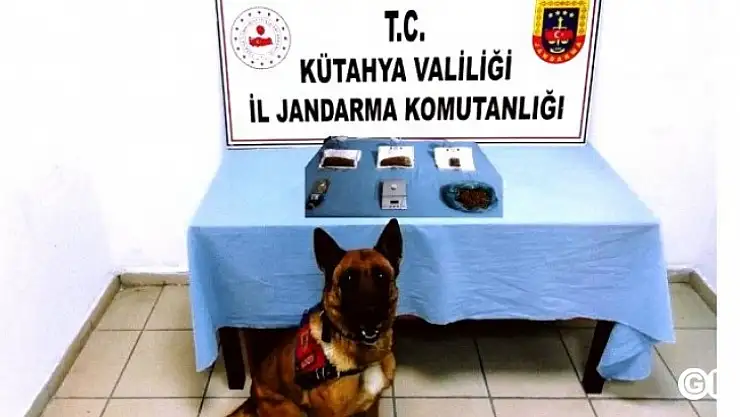 Narkotik Köpeği  Uyuşturucuya Geçit Vermedi