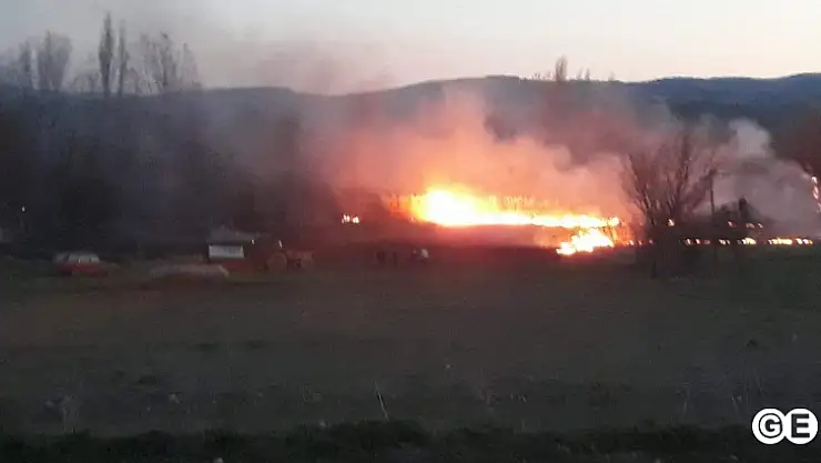 Ot Yangını Ormana Sıçramadan Söndürüldü