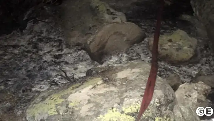 Samrıkta Çıkan Yangında 1 Dekar Alan Zarar Gördü