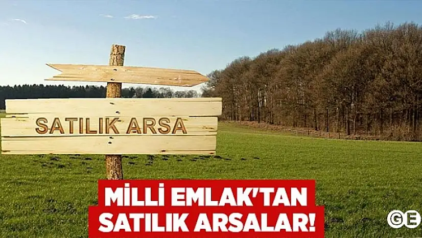 Emet Milli Emlak'tan İhale İle Satılık 82  Arsa