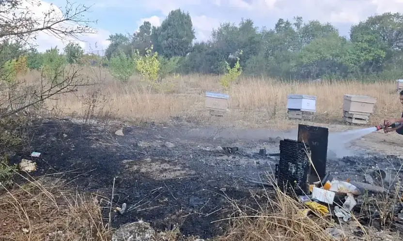 Emet'te Arazi Yangını: 7 Arı Kovanı Kül Oldu
