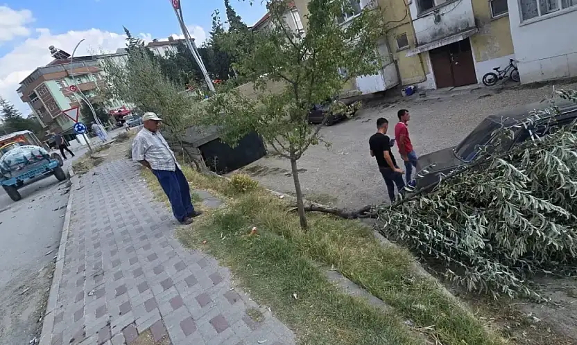 Emet'te Kaza 2 Çocuğuyla İğde Ağacına Çarptı